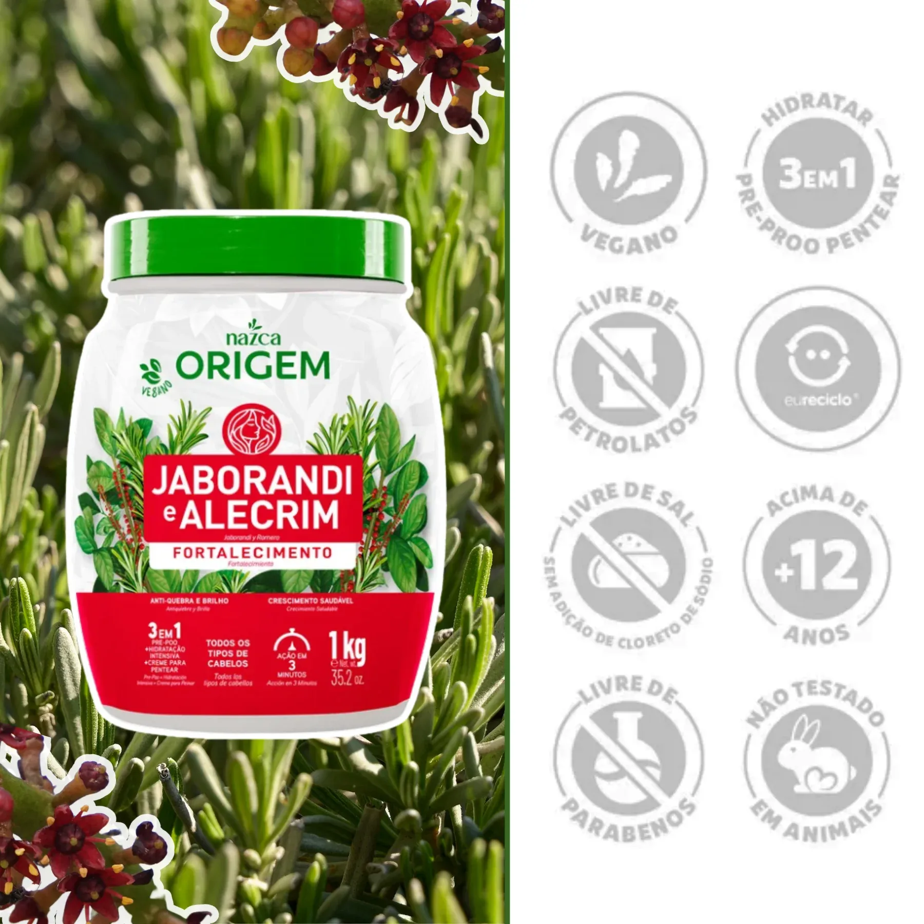 ORIGEM JOBORANDI -2-